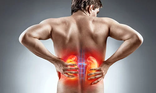 Dr. Eduardo Jerônimo | Urologista em Dourados - MS Dr. Eduardo Jerônimo | Urologista em Dourados - MS